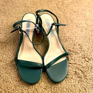 Charles and Keith Sandal. Low heel absolutely stunning. Never worn